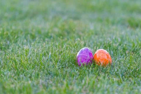 Colorful easter eggs lying in the backyard grass. copyspace Stock Photos