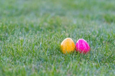 Colorful easter eggs lying in the backyard grass. copyspace Stock Photos