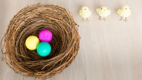 Colorful Easter eggs in nest, chicks on wooden background. Flat Lay, copy spa Foto stock