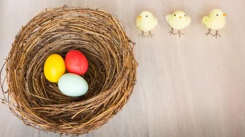 Colorful Easter eggs in nest, chicks on wooden background. Flat Lay, copy spa Foto stock