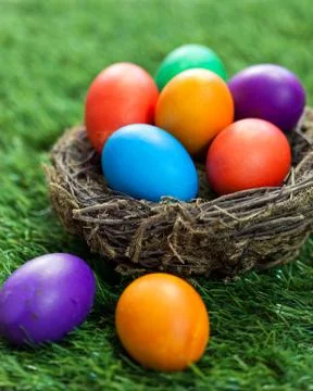Colorful Easter eggs in the nest on the grass Stock Photos
