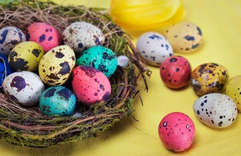 Colorful easter eggs in the nest Stock Photos