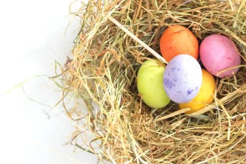 Colorful easter eggs in a nest Stock Photos
