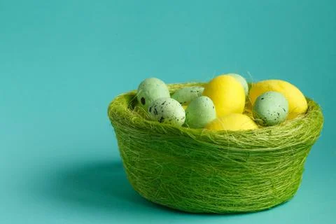 Colorful easter eggs in a nest Stock Photos