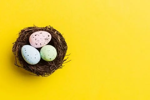 Colorful easter eggs in nest on table background with copy space top view 스톡 사진