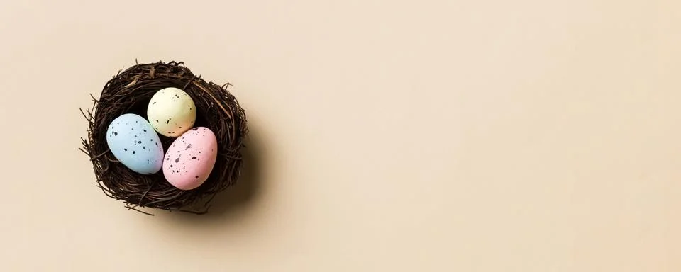 Colorful easter eggs in nest on table background with copy space top view Stock Photos