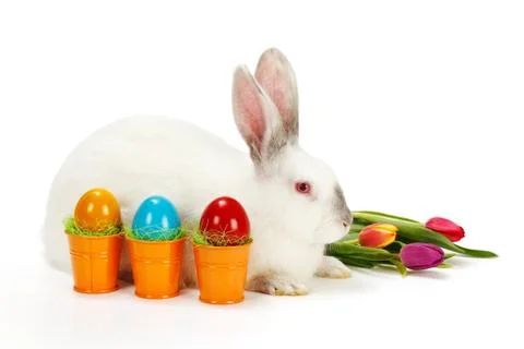 Colorful easter eggs next to a white rabbit Stock Photos