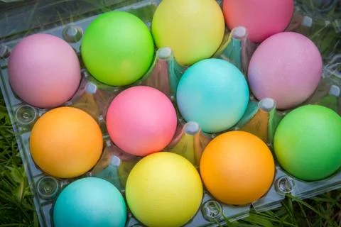 Colorful easter eggs in old plastic tray on green grass Stock Photos