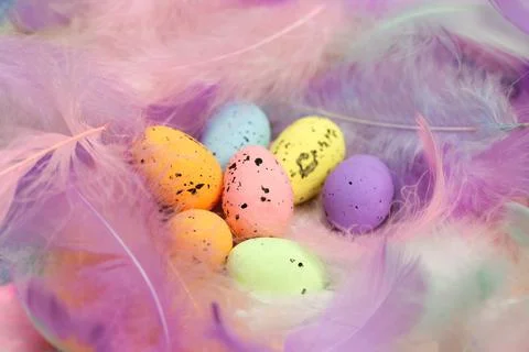 Colorful Easter Eggs with pastel colored feathers in the background,, Easter Stock Photos
