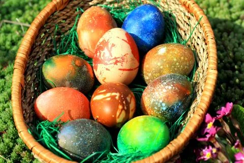 Colorful Easter eggs Фото
