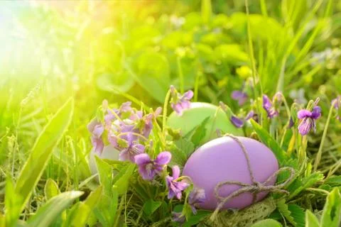 Colorful easter eggs Stock Photos