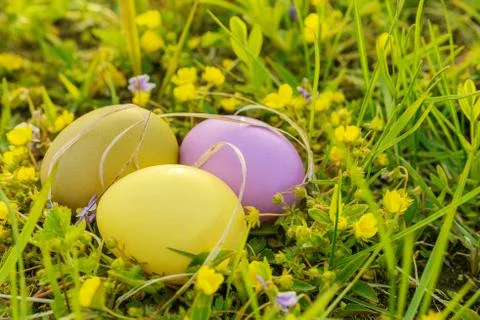 Colorful easter eggs Stock Photos