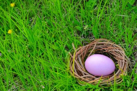 Colorful easter eggs Stock Photos