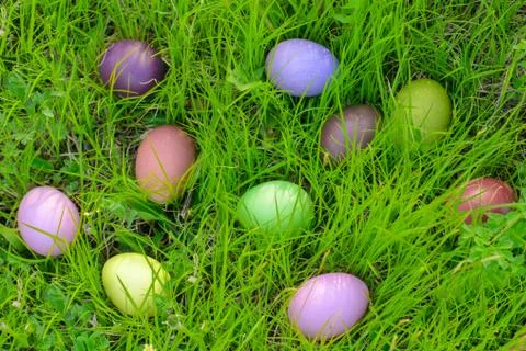 Colorful easter eggs Stock Photos