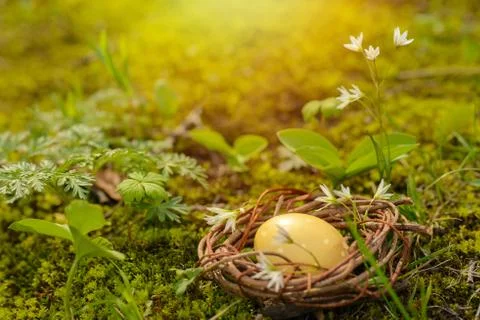 Colorful easter eggs Stock Photos