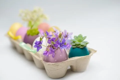 Colorful easter eggs Stock Photos