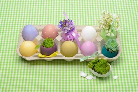 Colorful easter eggs Stock Photos