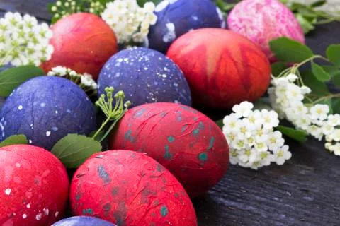Colorful Easter eggs Stock Photos