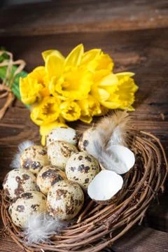 Colorful easter eggs Stock Photos