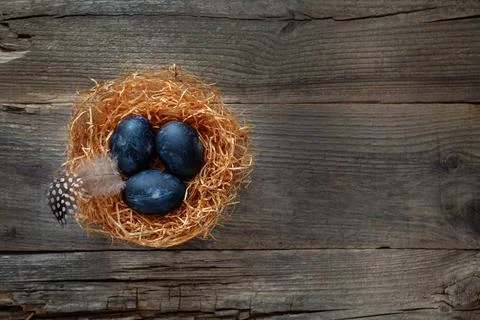Colorful Easter eggs Stock Photos