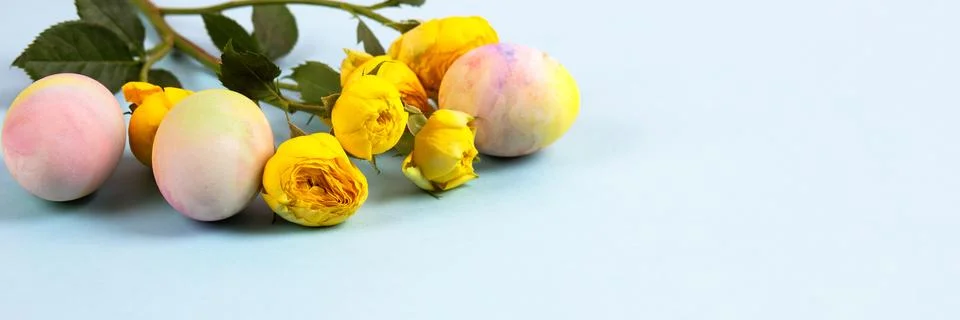 Colorful Easter eggs Stock Photos
