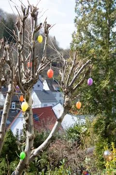 Colorful Easter eggs in spring Stock Photos