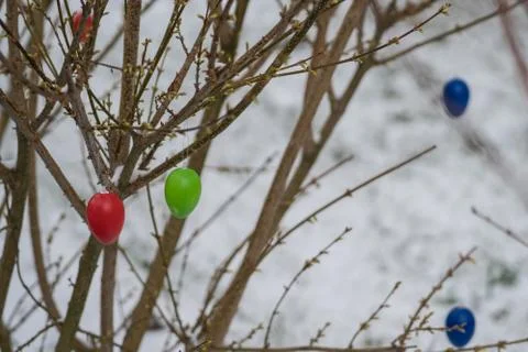 Colorful Easter eggs on the spring tree with new leaves and snow Stock Photos