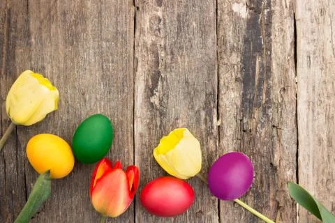 Colorful Easter eggs with tulips Stock Photos