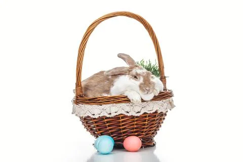 Colorful easter eggs wicker basket Stock Photos