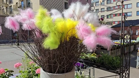 Colorful Easter feathers in a vase outside on a sunny day Stock Footage 306532697