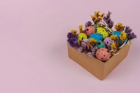 Colorful Easter quail eggs with dried flower decor in little box isolated on Stock Photos