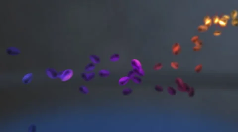 Colorful Eggs bouncing Stock Footage 2541429