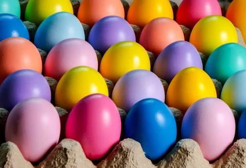 Colorful eggs in egg cartons for Easter. Stock Photos