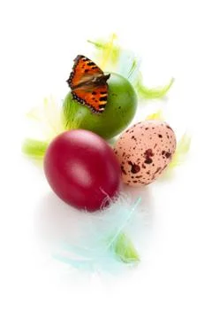 Colorful  eggs. Stock Photos