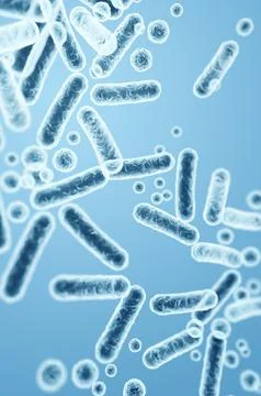 Colorful Enterobacteriaceae, gram-negative pathogens and normal intestinal mi Stock Illustration