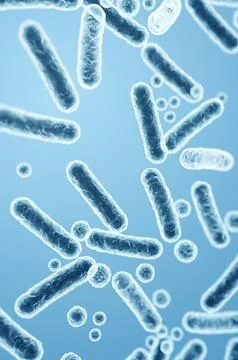 Colorful Enterobacteriaceae, gram-negative pathogens and normal intestinal mi Stock Illustration