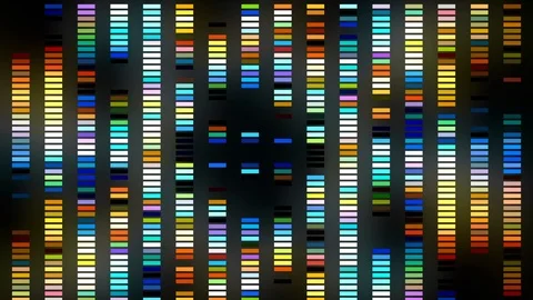 Colorful Equalizer Led Lights Stage Stock Footage 108756429