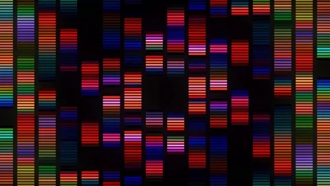 Colorful Equalizer Led Lights Stage Stock Footage 108756611