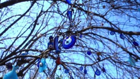 Colorful Evil Eye Bead Amulet on Tree 2 Stock Footage 105979743