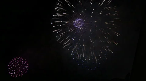 Colorful exploding fireworks over the lake. Stock Footage 61679596