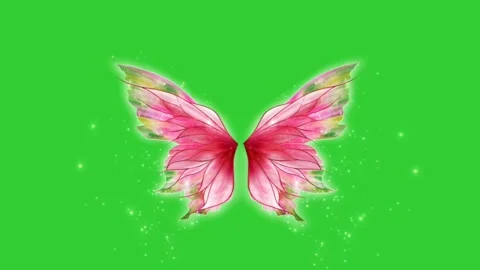 Colorful fairy wings green screen pack with fairydust Stock Footage