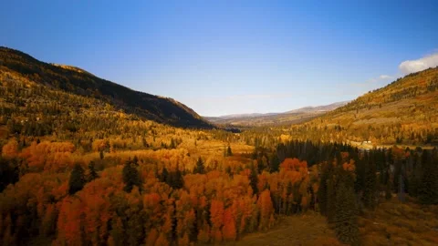 Colorful fall foliage on mountain slopes in Uinta Wasatch Cache National Fo.. Stock Footage 279526119