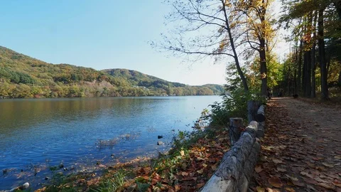 Colorful Fall foliage trees with beautiful lake at Nami Island, Natural concept Stock Footage 126748571