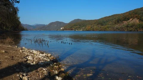 Colorful Fall foliage trees with beautiful lake at Nami Island Stock Footage 126754445