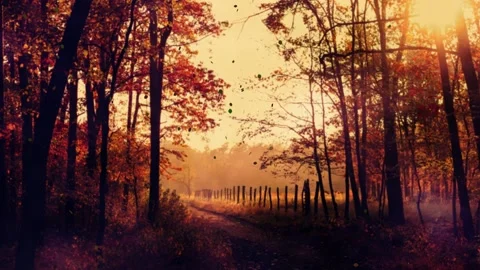 Colorful Fall Forest And Flying Leaves background Stock Footage 139604581