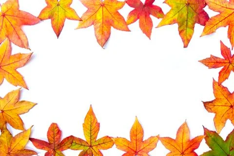 Colorful fall leaves framework on white Stock Photos