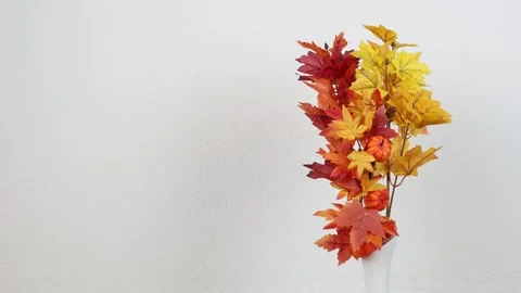 Colorful fall leaves in a vase, fall decor with white background Video stock 285197756