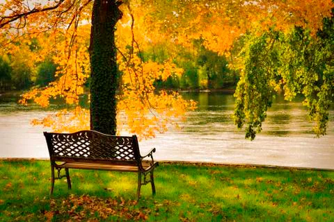 Colorful fall scenery. Stock Photos