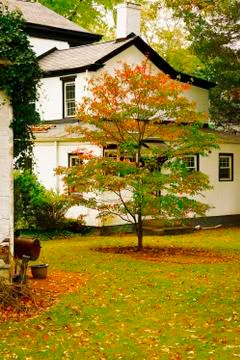 Colorful fall scenery. Foto stock