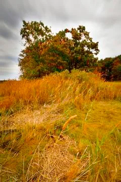 Colorful fall scenery. Stock Photos